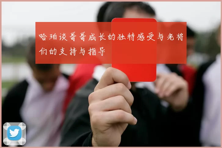 哈珀谈哥哥成长的独特感受与老将们的支持与指导